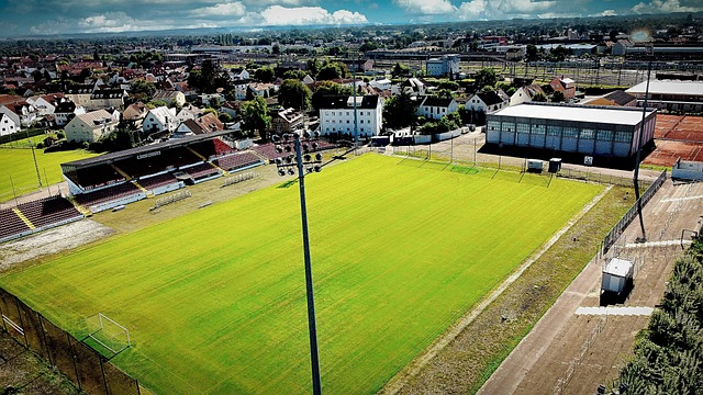 是一个多因 是一个多因