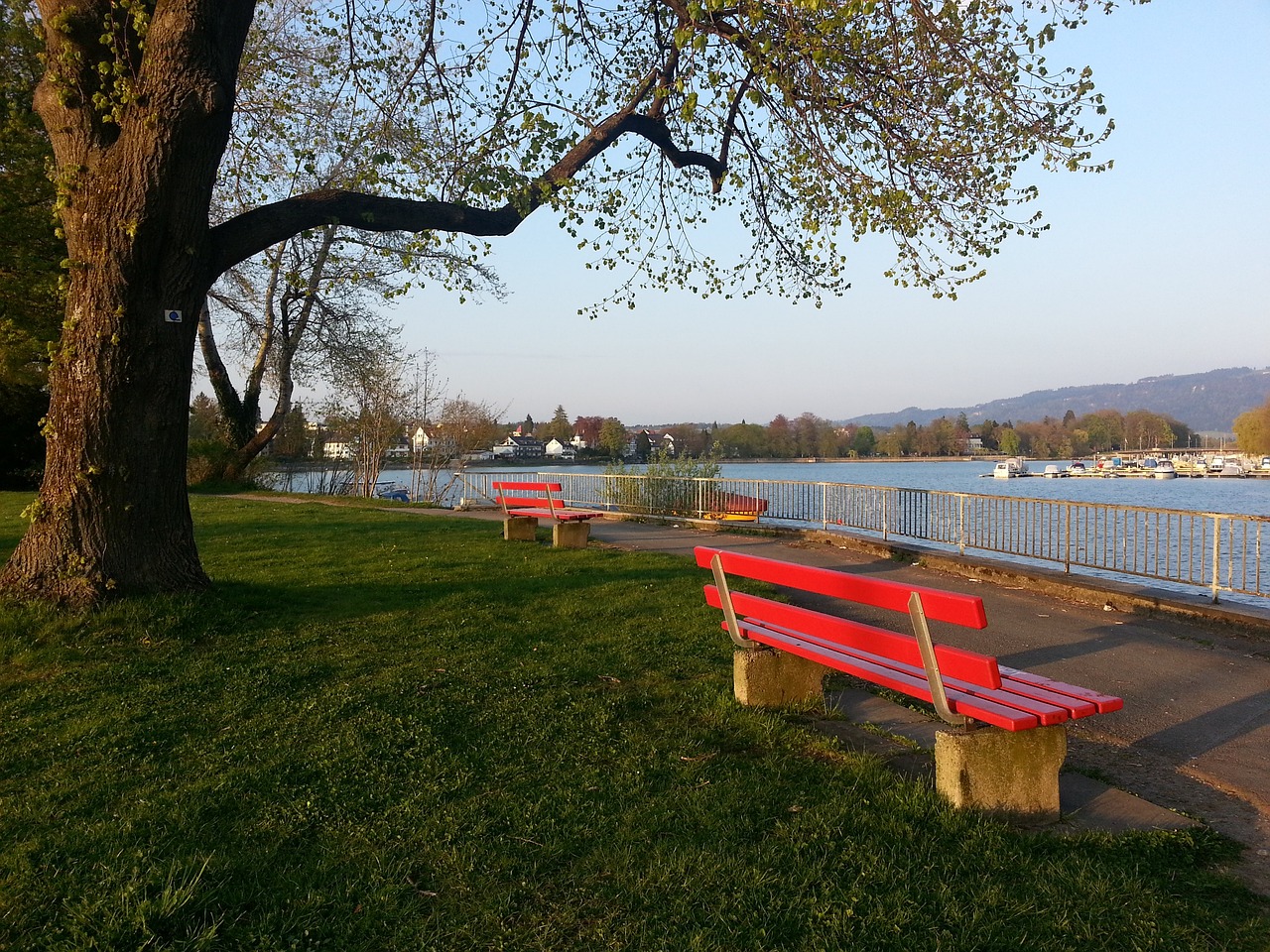 也表示会为 也表示会为