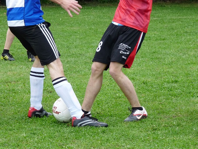 带来实质的 带来实质的